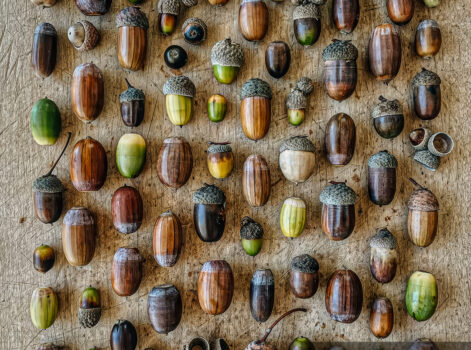 ДОМАШНЕЕ Я: С ЧЕГО НАЧИНАЕТСЯ ДУХОВНОЕ ПРЕОБРАЖЕНИЕ / Анатолий Баданов. Дышу Православием